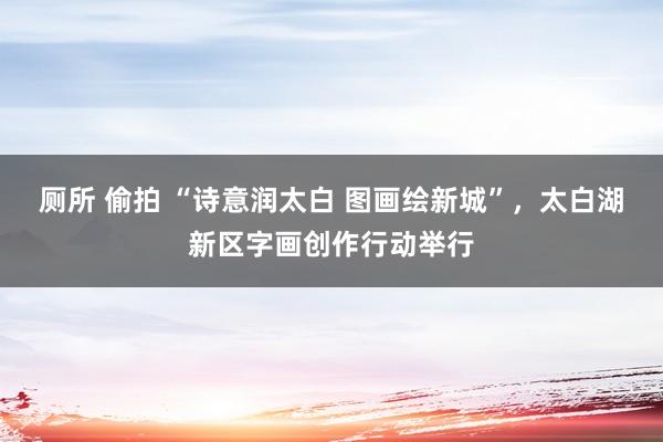 厕所 偷拍 “诗意润太白 图画绘新城”，太白湖新区字画创作行动举行