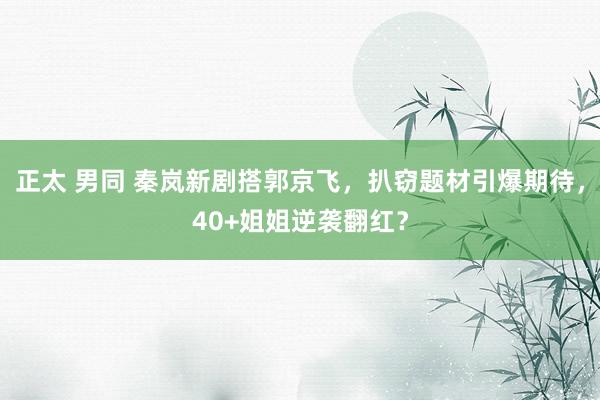 正太 男同 秦岚新剧搭郭京飞，扒窃题材引爆期待，40+姐姐逆袭翻红？
