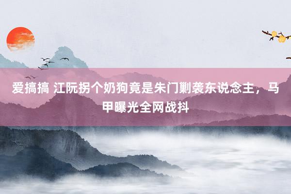 爱搞搞 江阮拐个奶狗竟是朱门剿袭东说念主，马甲曝光全网战抖