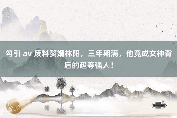勾引 av 废料赘婿林阳，三年期满，他竟成女神背后的超等强人！