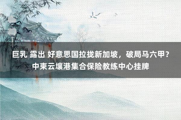 巨乳 露出 好意思国拉拢新加坡，破局马六甲？中柬云壤港集合保险教练中心挂牌