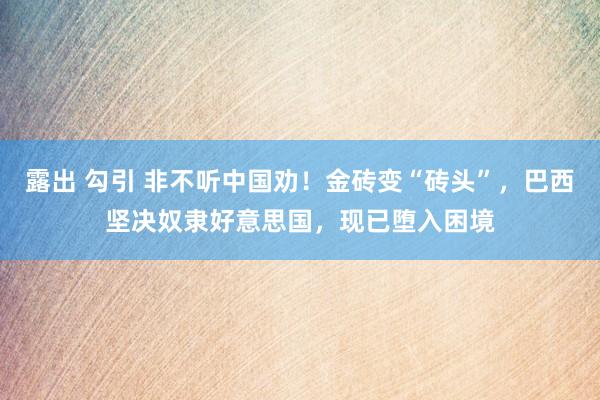 露出 勾引 非不听中国劝！金砖变“砖头”，巴西坚决奴隶好意思国，现已堕入困境