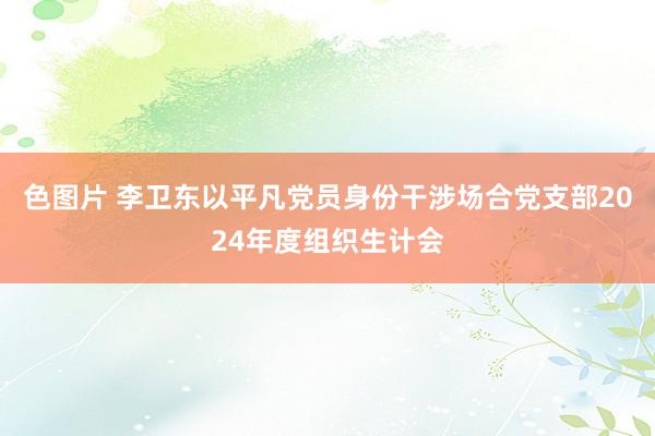 色图片 李卫东以平凡党员身份干涉场合党支部2024年度组织生计会