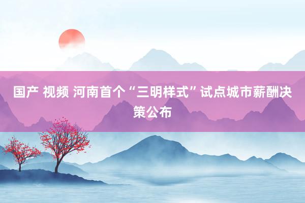 国产 视频 河南首个“三明样式”试点城市薪酬决策公布