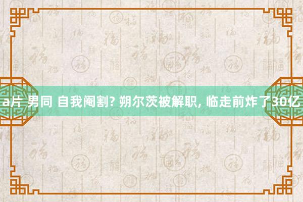 a片 男同 自我阉割? 朔尔茨被解职, 临走前炸了30亿
