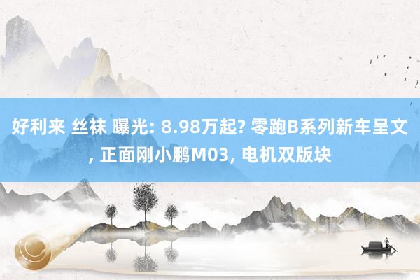 好利来 丝袜 曝光: 8.98万起? 零跑B系列新车呈文, 正面刚小鹏M03, 电机双版块