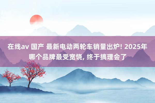 在线av 国产 最新电动两轮车销量出炉! 2025年哪个品牌最受宽饶, 终于搞理会了