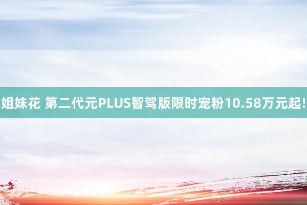 姐妹花 第二代元PLUS智驾版限时宠粉10.58万元起!