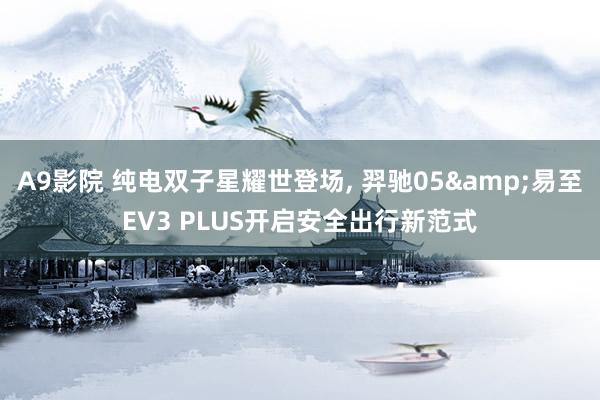 A9影院 纯电双子星耀世登场, 羿驰05&易至EV3 PLUS开启安全出行新范式