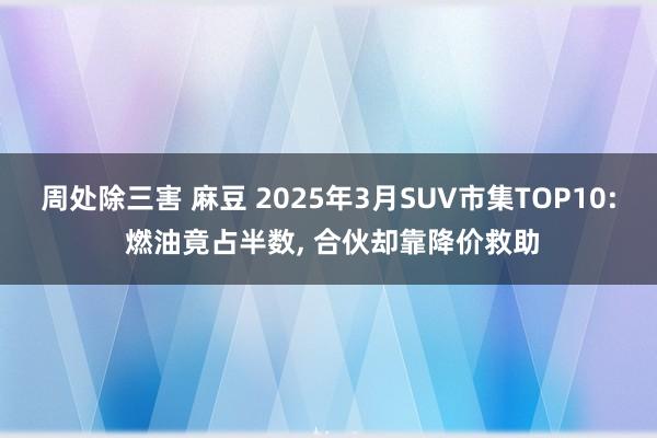 周处除三害 麻豆 2025年3月SUV市集TOP10: 燃油竟占半数, 合伙却靠降价救助