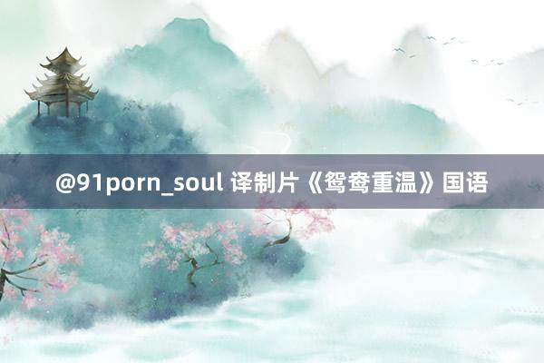 @91porn_soul 译制片《鸳鸯重温》国语