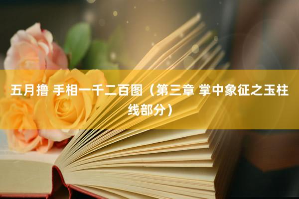 五月撸 手相一千二百图（第三章 掌中象征之玉柱线部分）