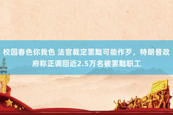 校园春色你我色 法官裁定罢黜可能作歹，特朗普政府称正调回近2.5万名被罢黜职工