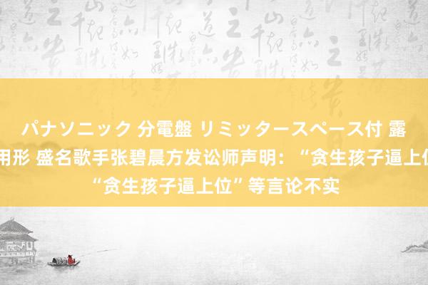 パナソニック 分電盤 リミッタースペース付 露出・半埋込両用形 盛名歌手张碧晨方发讼师声明：“贪生孩子逼上位”等言论不实
