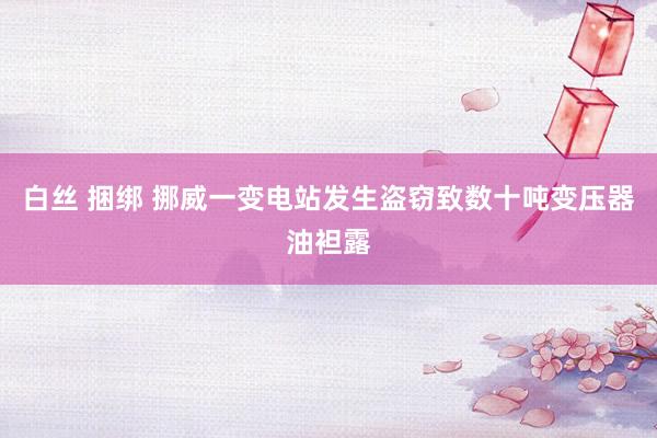 白丝 捆绑 挪威一变电站发生盗窃致数十吨变压器油袒露